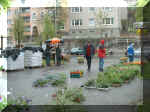 blumen2002 01.jpg (61655 Byte)