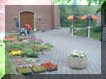 DSCF1303.jpg (60012 Byte)