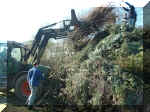karf2003 015.jpg (62836 Byte)